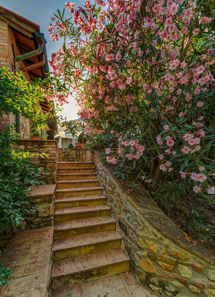 Agriturismo Casanova Di Pescille San Gimignano Kültér fotó